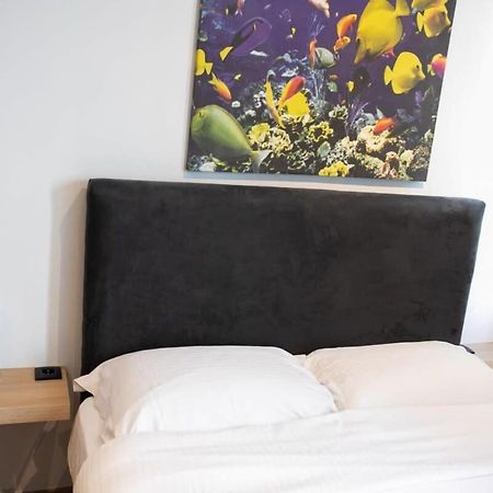 شقة Cozy Modern Studio In سالونيك المظهر الخارجي الصورة